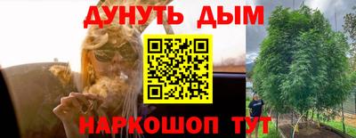 шишки Азнакаево