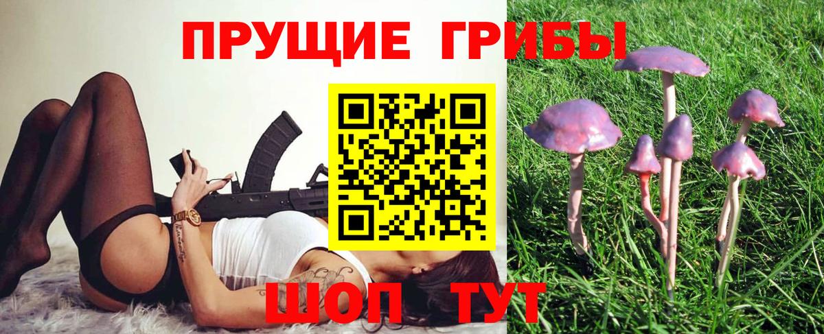 Галлюциногенные грибы Cubensis  Вход с VPN  Псилоцибиновые грибы GOLDEN TEACHER  Анжеро-Судженск 