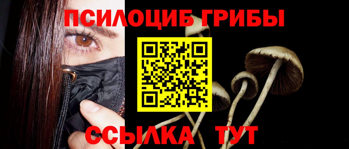 Галлюциногенные грибы MAGIC MUSHROOMS Анжеро-Судженск